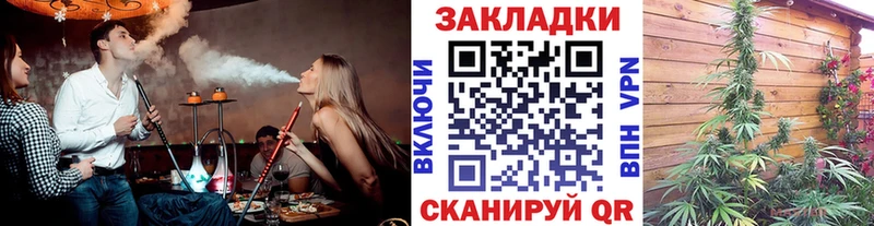 Как найти наркотики Борзя СК Метадон Каннабис АМФ