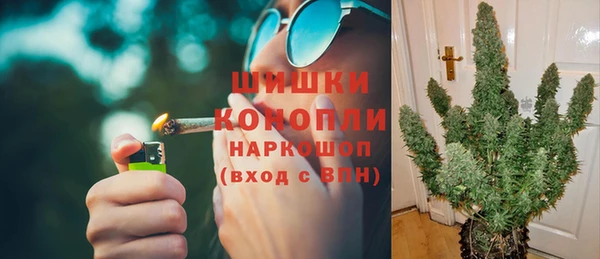 прущие крисы Белокуриха