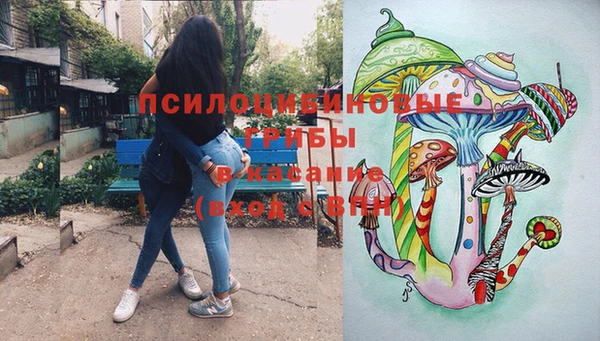 прущие крисы Белокуриха